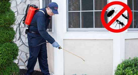 Tirebolu Sivrisinek İlaçlama böcek ilaçlama ve haşere kontrolü — ilaclama-tr.com